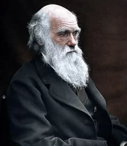 Charles Darwin i cani sognano